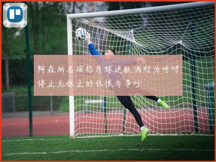 阿森纳名宿怒斥球迷肤浅行为呼吁停止无休止的仇恨与争吵