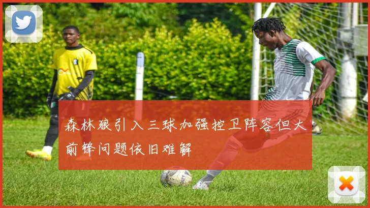 森林狼引入三球加强控卫阵容但大前锋问题依旧难解