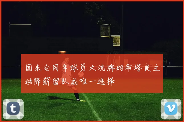 国米合同年球员大洗牌姆希塔良主动降薪留队成唯一选择